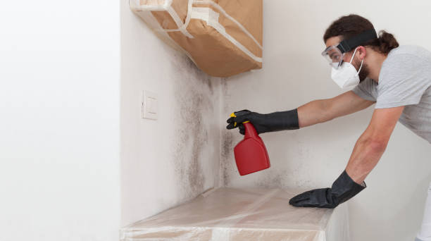 Professional Mold Remediation technician working in Vauxhall, NJ