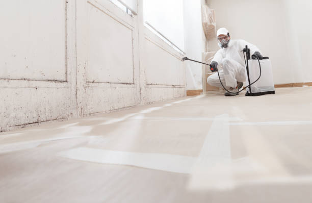 24/7 Emergency Mold Remediation experts in Vauxhall, NJ