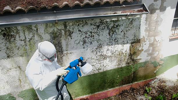 Top rated local Mold Remediation specialists in Vauxhall, NJ